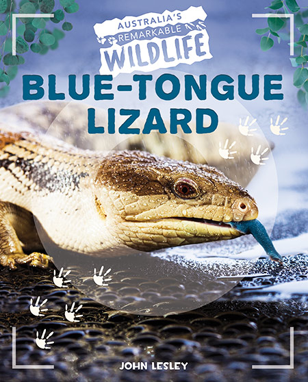 Blue-Tongue Lizard